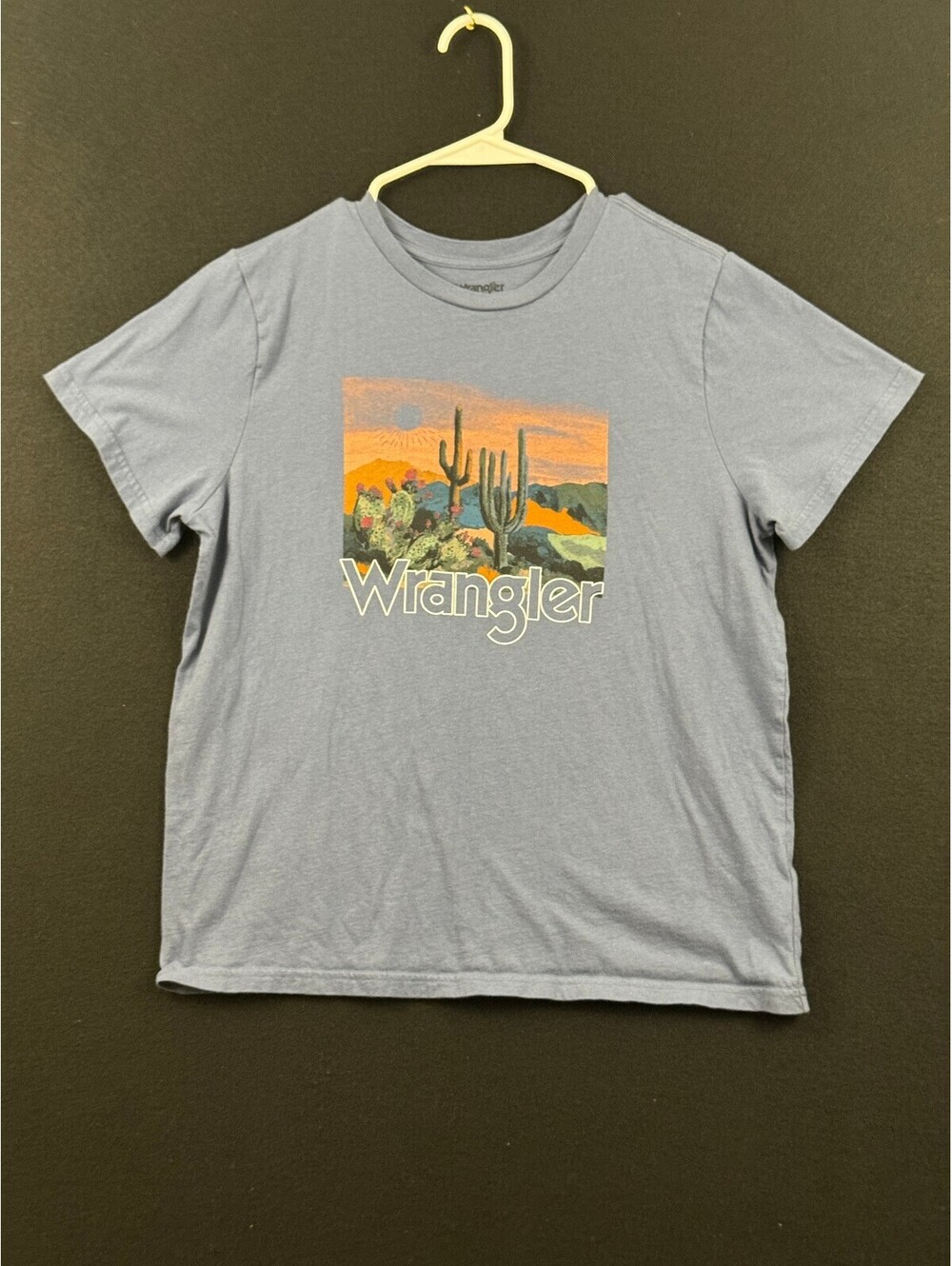 Women's Wrangler Blue Graphic Desert Landscape T-Shirt Size Large